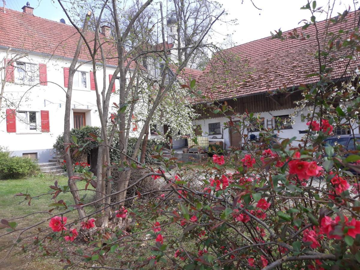 Zum Scheunenhof - Bauernhaus Ichenhausen Exterior photo